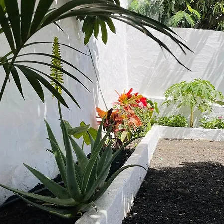 Jardín De La Suerte *